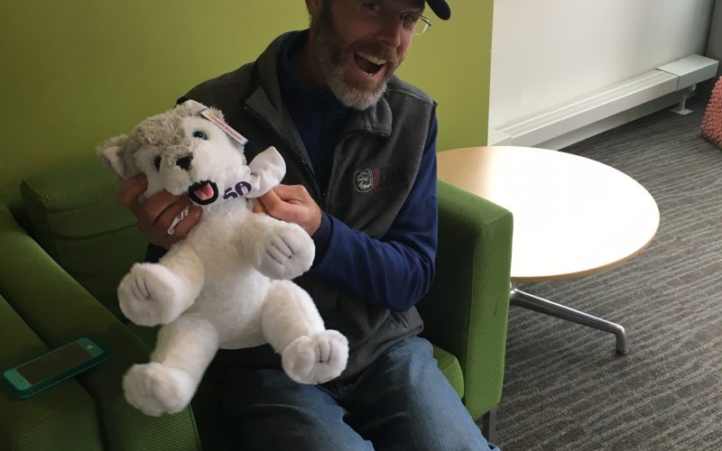 Staff holding stuffed husky